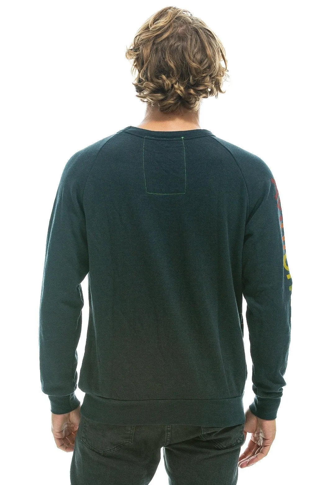 Aviator Nation Crew Sweatshirt ~ Charcoal