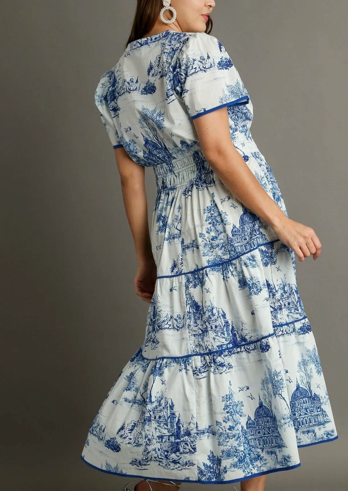 Toile Pattern Midi Dress