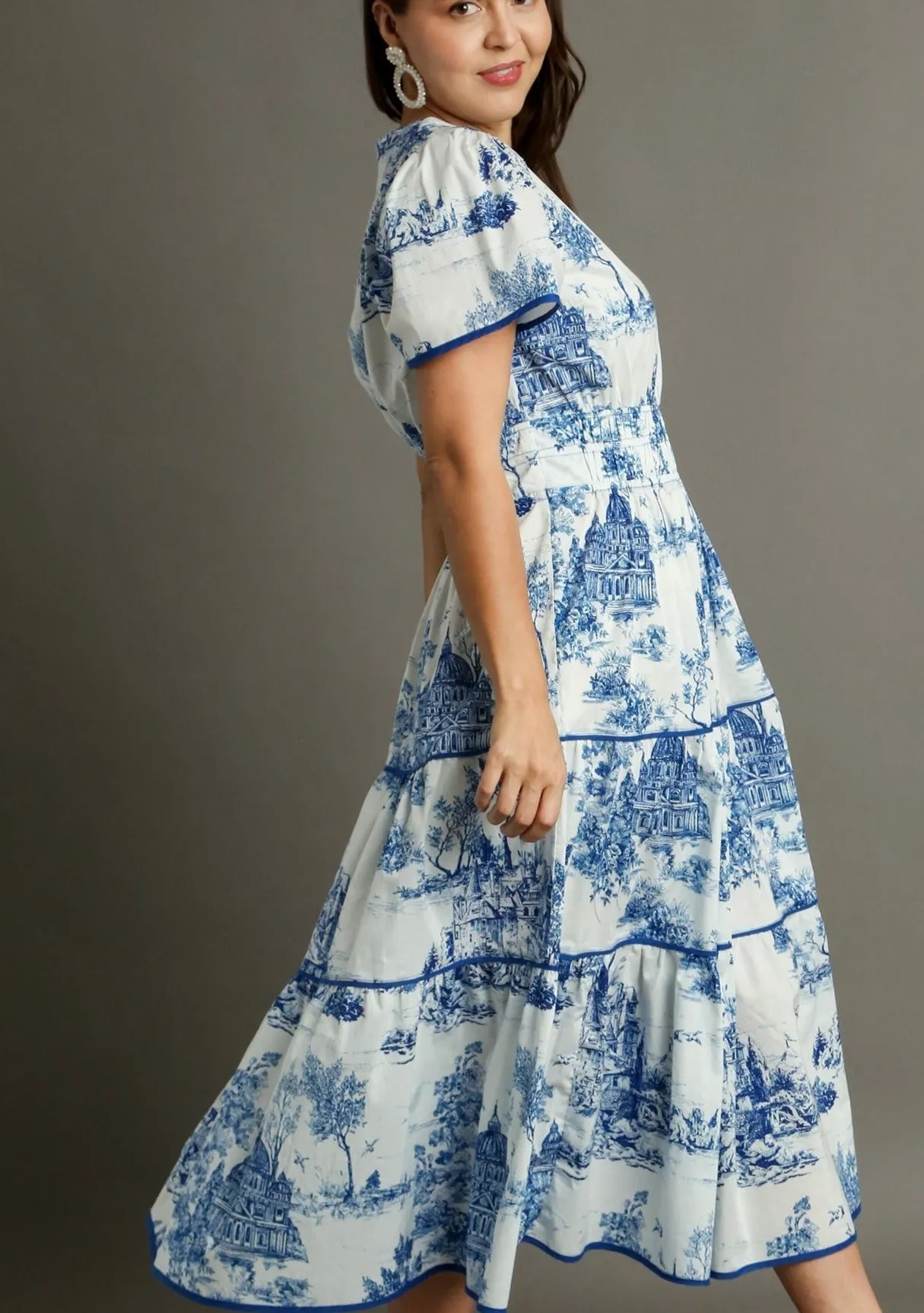 Toile Pattern Midi Dress